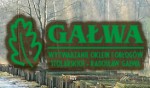 Wytwarzanie oklein obłogów stolarskich Radosław Gałwa