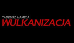 Zakład Wulkanizacyjny Tadeusz Hamela